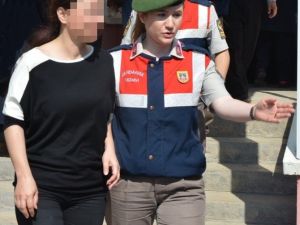 Jandarmadan Operasyon: 14 Gözaltı
