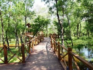 Kuş Cenneti Dünya Çevre Günü’ne Ev Sahipliği Yapacak