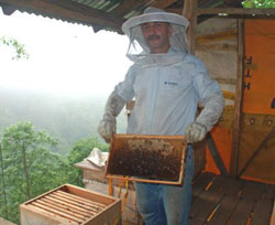 Organik Bala Yağmur Engeli