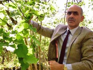 Abd’de Açıklanan Fındık Rekoltesine Tepki