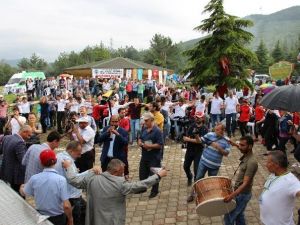 Balkan Türklerinden Etli Pilav Etkinliği