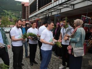 Trabzon’da Dünya Çevre Günü Hafta Sonu Çeşitli Etkinliklerle Kutlandı