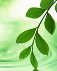 En şifalı yağmurlar Nisan'da yağıyor