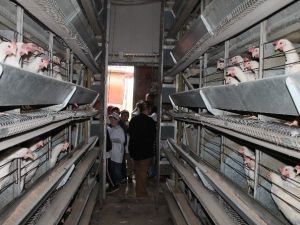 Bayburt’ta ’Lider Çocuk Tarım Kampı’ Sona Erdi