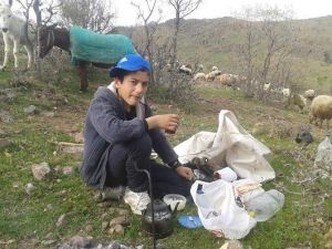 Teog Türkiye Birincisi Yine Çemişgezek’ten