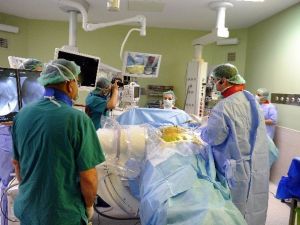 Tam Endoskopik Bel Fıtığı Cerrahisinde Canlı Ameliyatla İleri Düzeyde Kurs