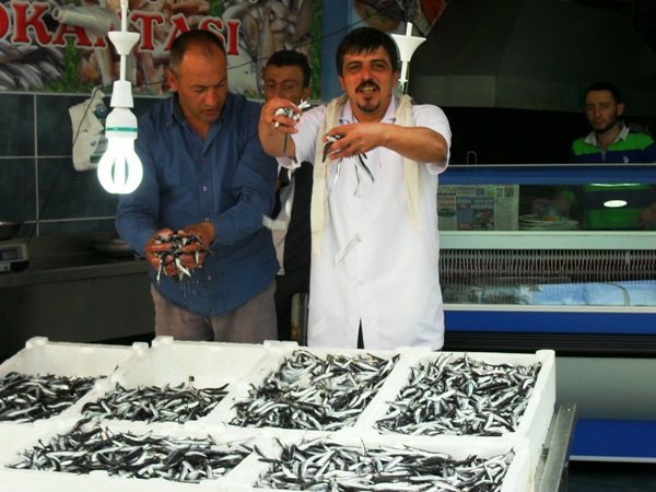 Yerli Hamsi Rize'de Tezgahlarda