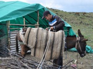 Tuncelili Çoban Mahir’in Teog Başarısı