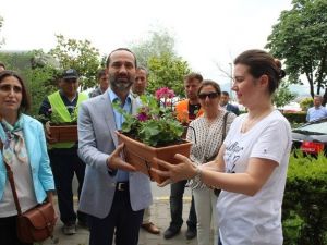 Ünye’de Balkonlar Çiçek Açacak