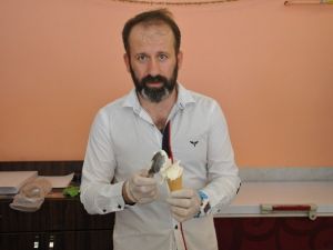 (Haber Özel) Uzmanlar İftardan Sonra Şerbetli Tatlı Yerine Dondurma Önerdi