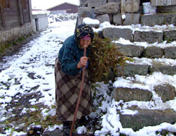 Rize'ye Yılın İlk Karı Yağdı