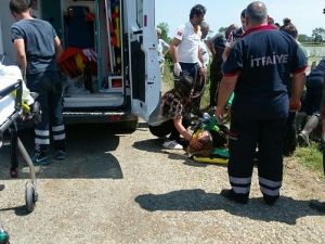 Sinop’ta Trafik Kazası: 1 Yaralı