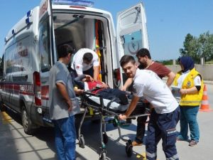 Bonzai İçen Genç Hastanelik Oldu