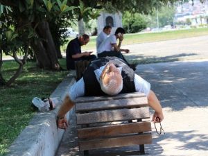 Sıcaktan Bunalanlar Gölgeye Sığındı