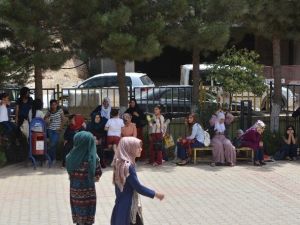 Nusaybinli Terör Mağduru Öğrenciler Mardin’de Sınava Girdi