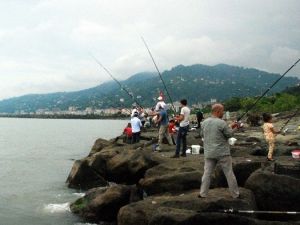 Rize'de Olta Balıkçılığına Yoğun İlgi