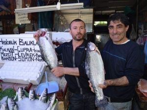 Ramazan’da Kültür Balıklarına İlgi Arttı