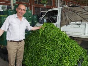 Çarşamba Ovası’nda Ürünlerin Yüzde 60’ı Çürüdü