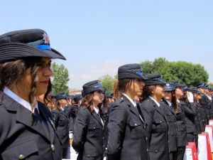 Polise 356 Taze Kan