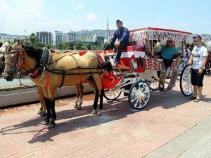 Samsun Sahilinde Nostaljik Gezi
