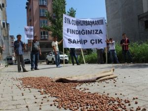 Üreticilerden Fındık Protestosu