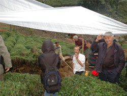 Çay Bahçesinde Define Arıyor