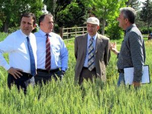 Tarsim Aydınlı Üreticinin Faaliyetlerini Yerinde İnceledi