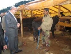 Bakırcı’dan Kurban Pazarına Ziyaret