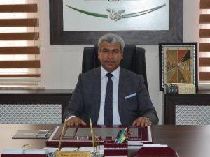 Seve Barajı’ndaki Balık Ölümleri