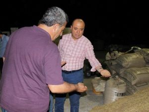 İtalyan Gıda Devi, Türkiye’nin Gururu Buğday Firmasıyla Ortak Çalışacak