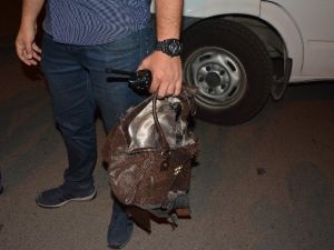 Yol Ortasındaki Şüpheli Çanta Fünye İle Patlatıldı