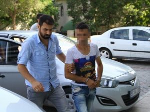 Şüphe Üzerine Durdurulan Şahıstan Bonzai Çıktı