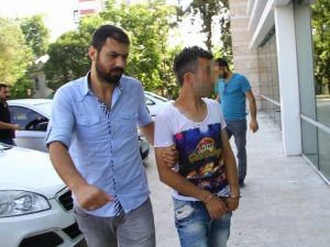 Üzerinde Bonzai Ele Geçen Şahıs Tutuklandı