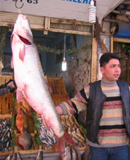 Kalbin ilacı olan balıklar