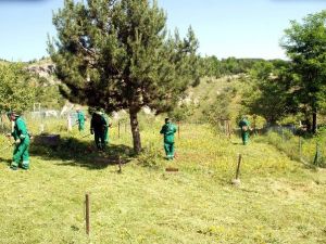 Kastamonu Belediyesi’nde Bayram Hazırlıkları Sürüyor