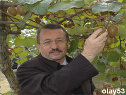 ÇAYKUR Kivi'ye Önem Veriyor