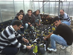 Rize Üniversitesi'nden Fidan Satışı