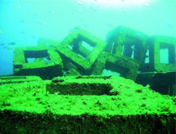 Rize'de Yapay Resif Projesi