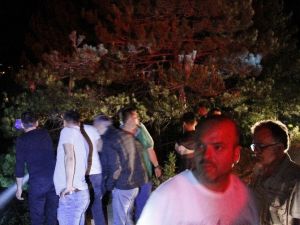 Kastamonu’da Orman Yangını