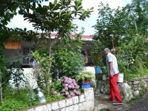 Ordu’da 6 Yıllık Arazi Davası 6 Can Aldı