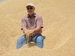 Aksaray’da Kuraklık Rekolteyi Vurdu