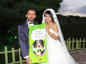 Düğüne Çiçek Yerine Köpek Mamasıyla Geldiler