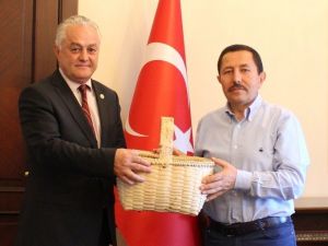 İspanya Türk Sepetleri İle Fındık Toplayacak