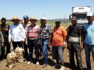 Suriye’ye Patates Soğan İhracatı