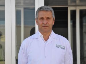 Sivas’tan Dünyaya ’Mozzarella Peyniri’ İhraç Ediyorlar