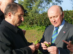 Rize’ye Çayı Tanımaya Geldi!