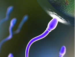 Kısırlığa karşı bunu tüketin!