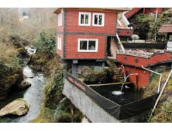 Bir Karadeniz klasiği daha !