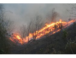 Rize'de Korkutan Yangın!