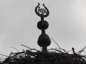 Caminin Kubbesinde Mahsur Kalan Yavru Leylekleri İtfaiye Kurtardı